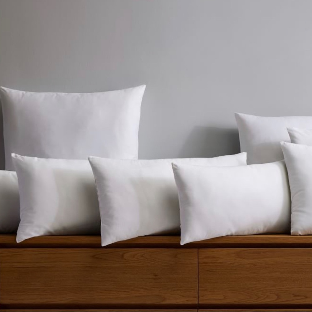 - 24x24” Pillow insert WEST ELM